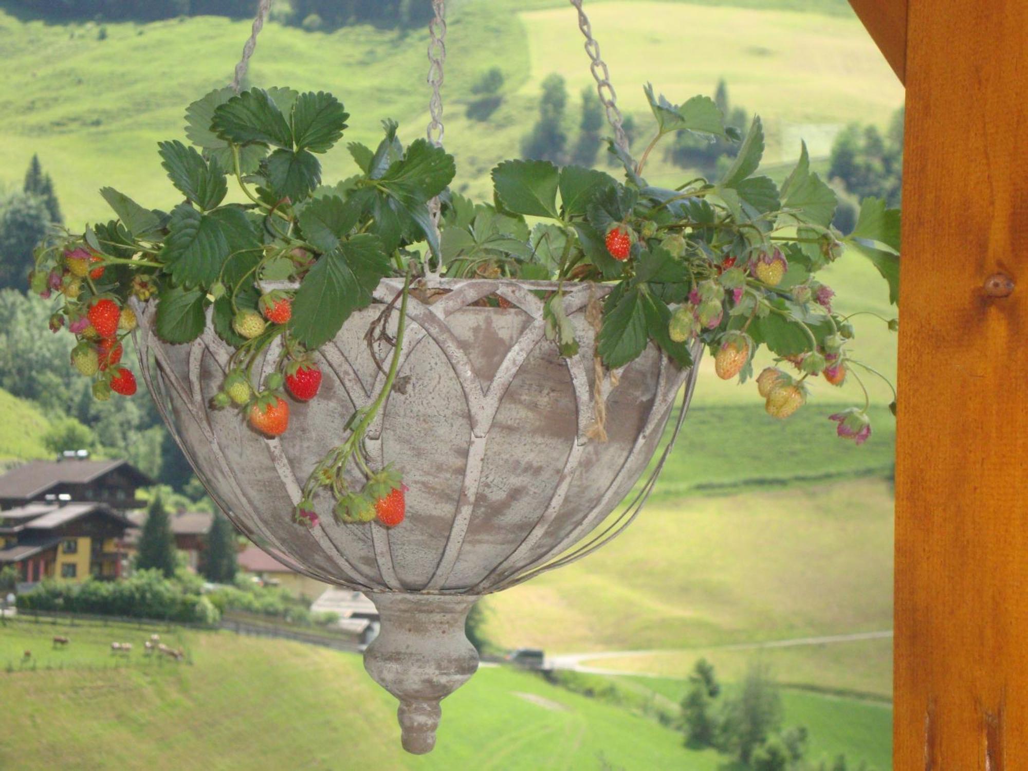 Schaidreithof Grossarl Dış mekan fotoğraf